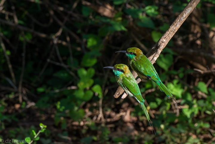 Sri Lanka