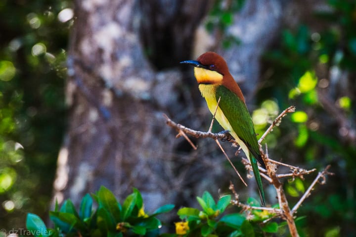 Sri Lanka