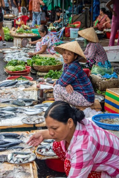 Women selling fish at Dong Ba Market, Hue