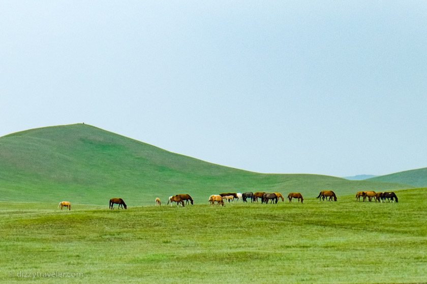 Ulan Batar, Mongolia
