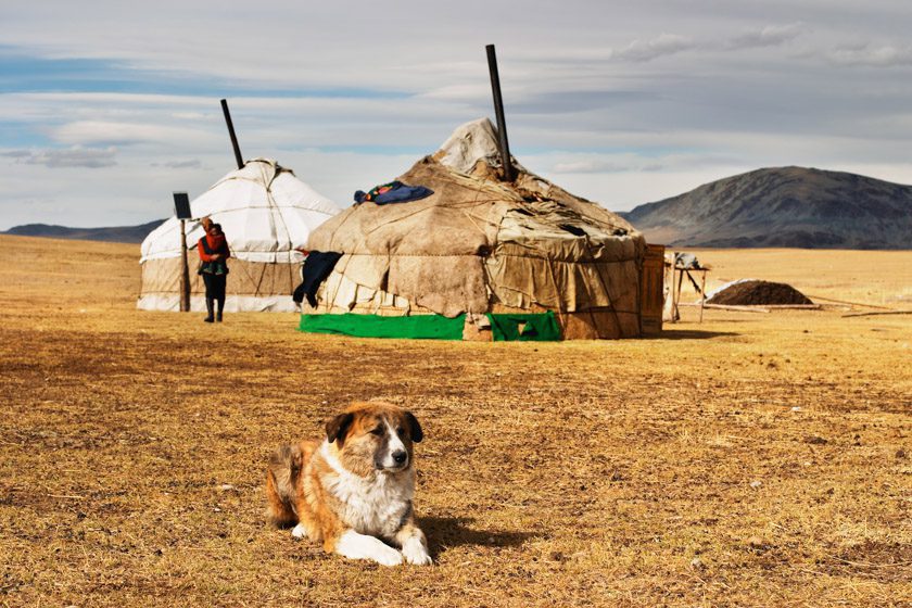 Yurta, mongolia