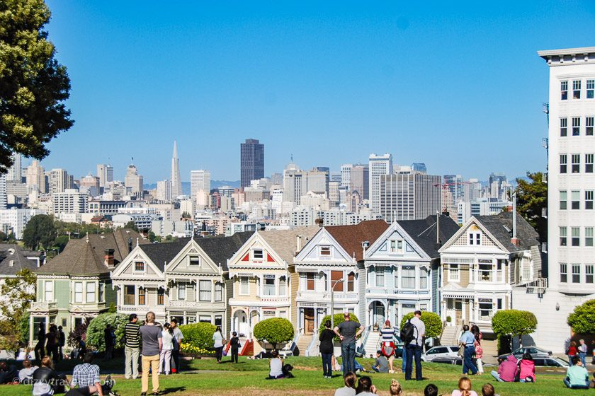 Painted ladies