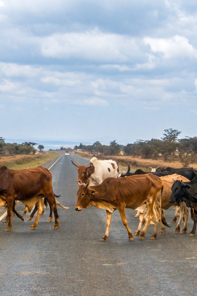 Lake Nakuru