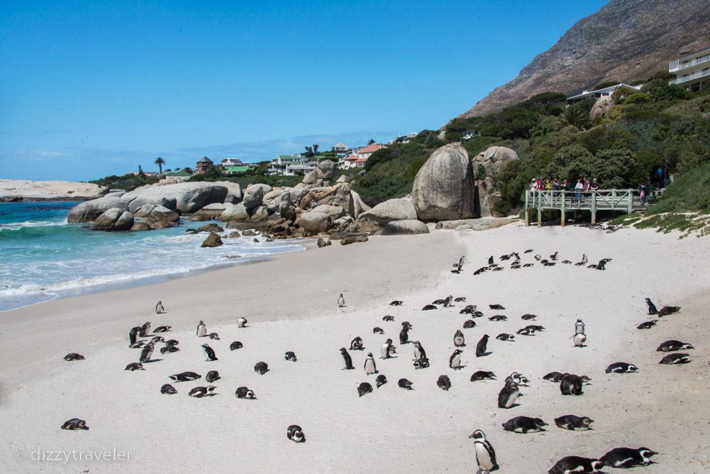 Boulder Beach