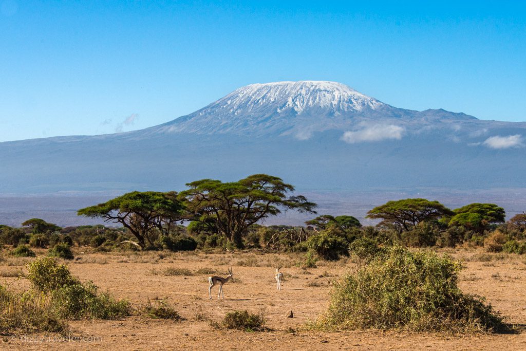 Amboseli National park