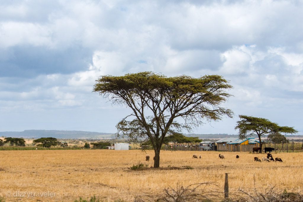 Kenya