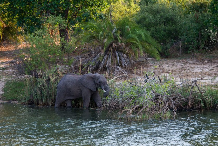 Mosi-oa-Tunya National Park, Zambia