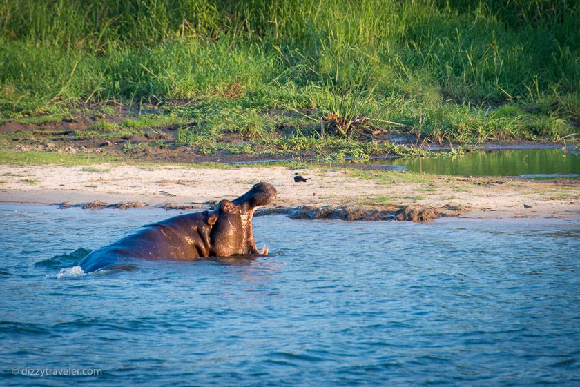 Zambezi National Park