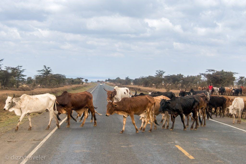 Road to Maasai Mara 