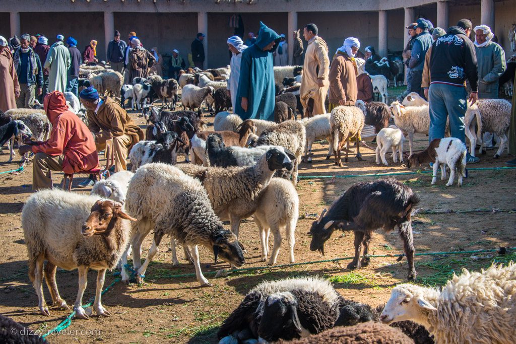 Rissani market