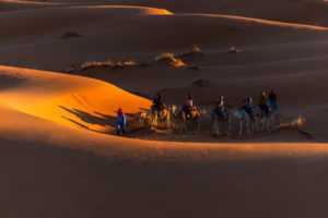 Read more about the article 10 Best Things to Do In Merzouga, Morocco