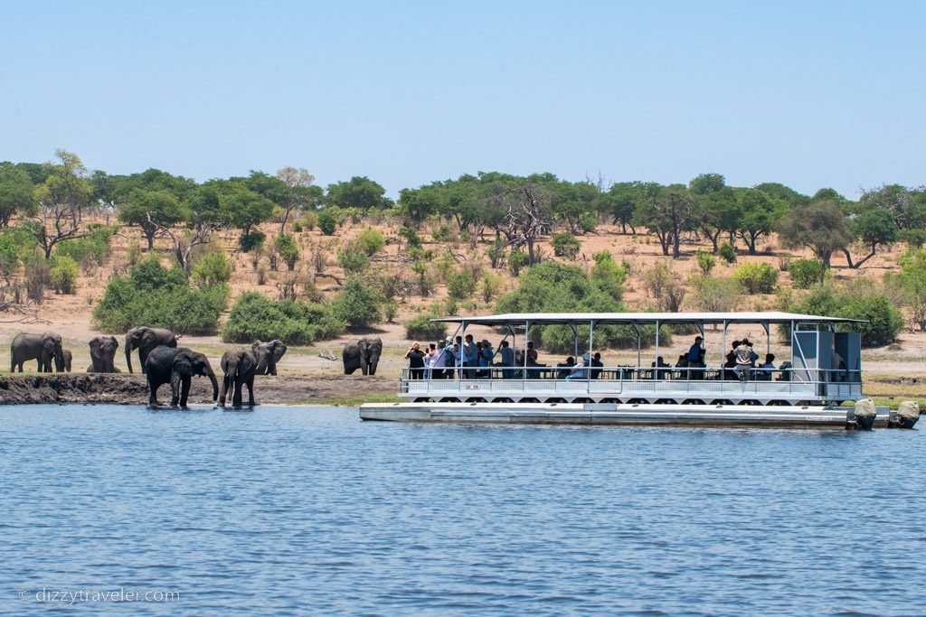 Chobe River, Botswana