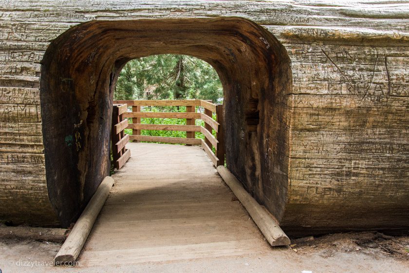 Sequoia National Park