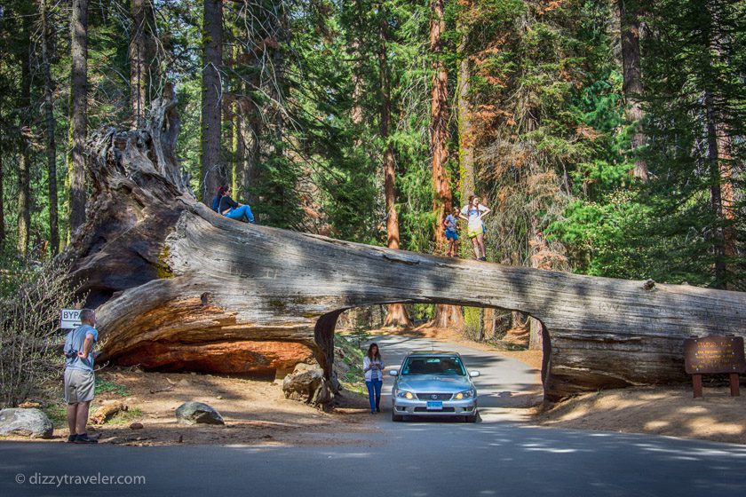 sequoia-national-park