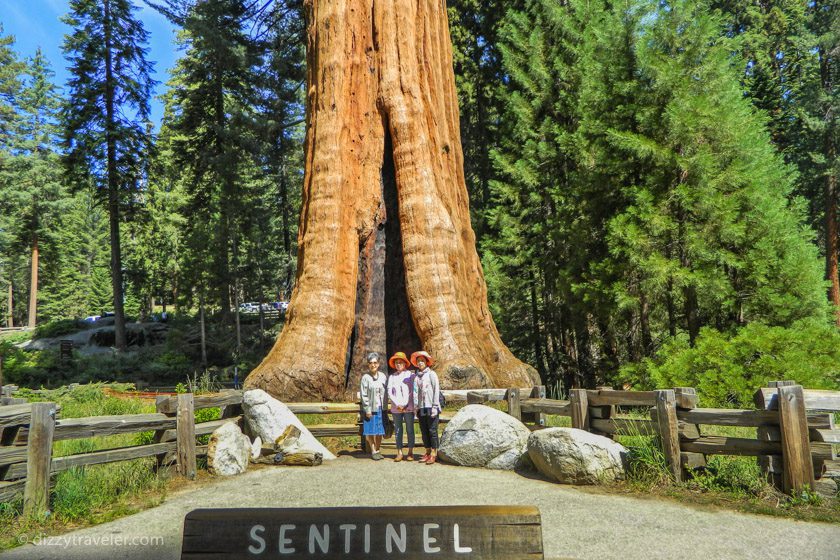 Sequoia National Park