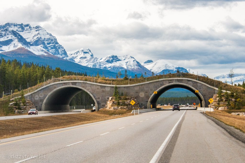 Banff National Park, Alberta, Canada