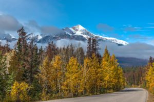 Read more about the article Jasper National Park – Things to do, Alberta