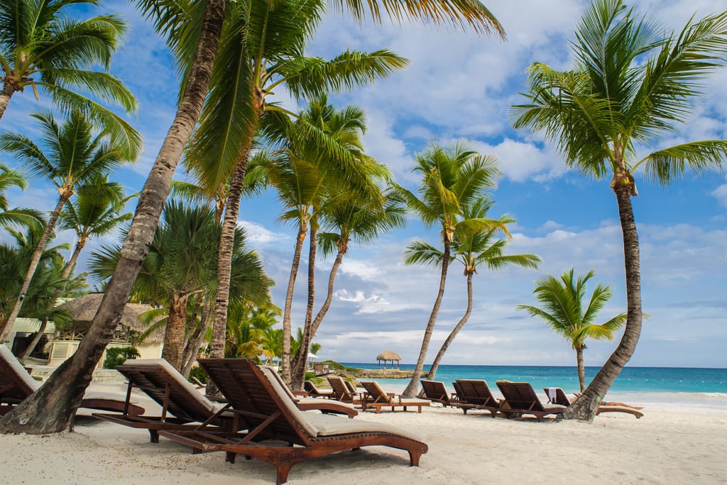 Palm and tropical beach in Mauritius