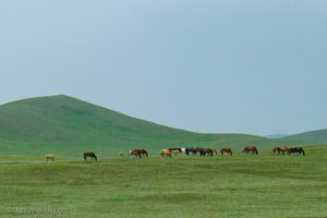 Mongolian landscape along the Trans-Mongolian Rail route