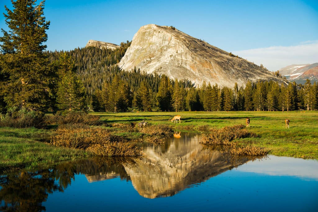 Landscape of Tuolumne Meadows and Lembert Dome with reflections