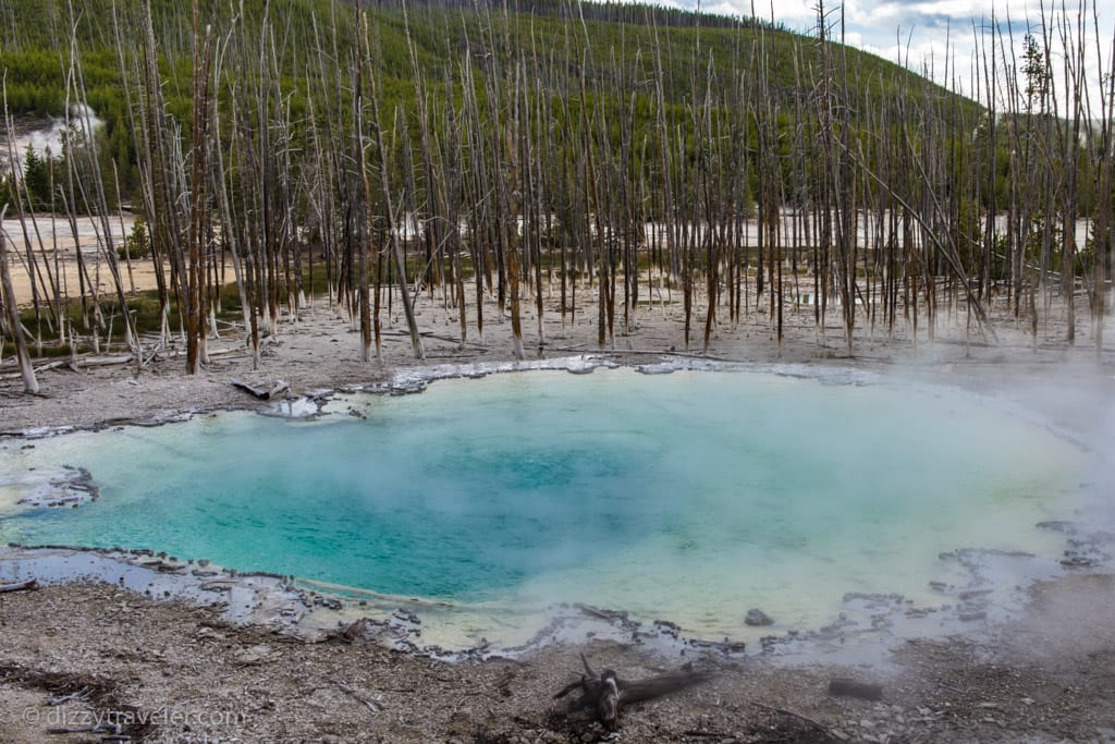 Cistern Spring, Yellowstone National Park