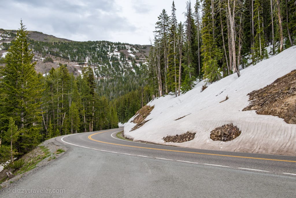 Dunraven Pass