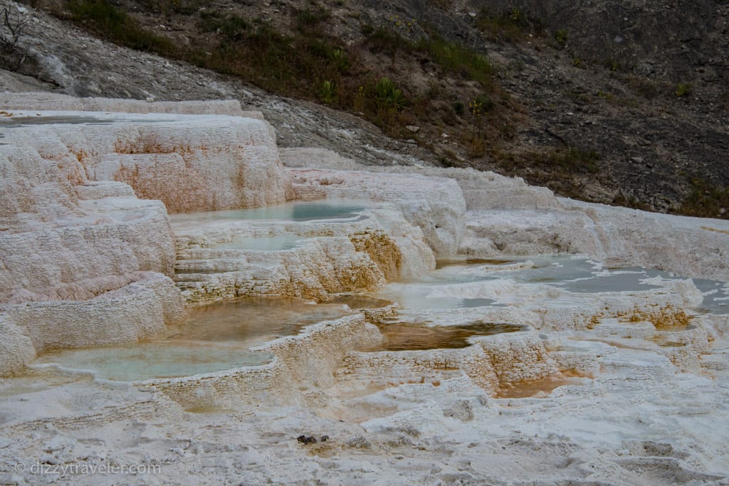 Mammoth Hot Springs, Yellowstone