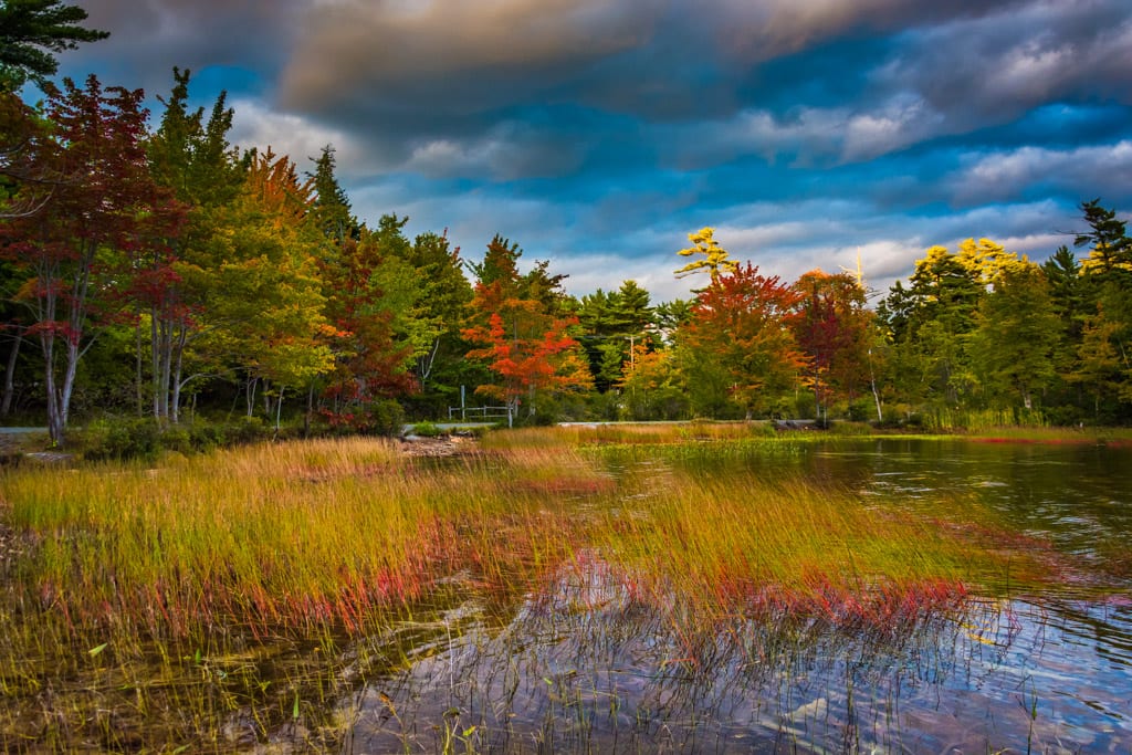 Acadia National Park