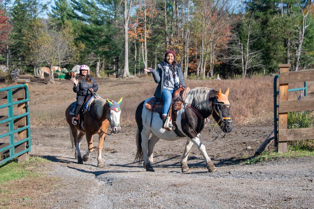 horseback riding at Lajoie Stables