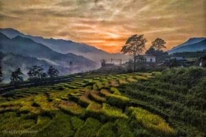 Read more about the article Best Time to Visit, and Things to do in Northern Vietnam