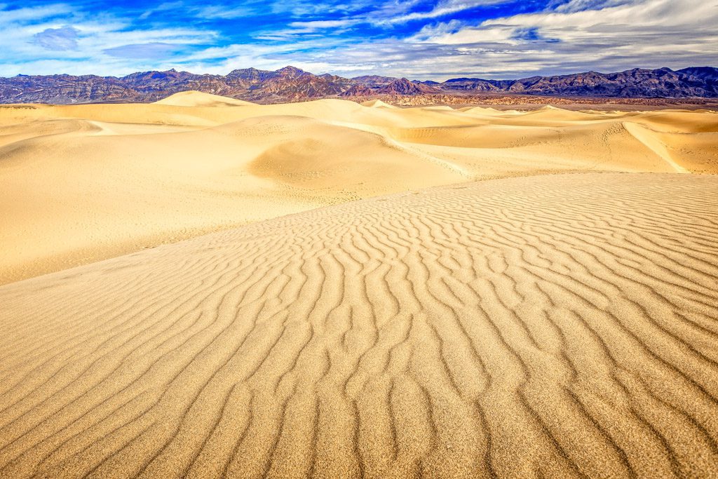 Mojave Desert