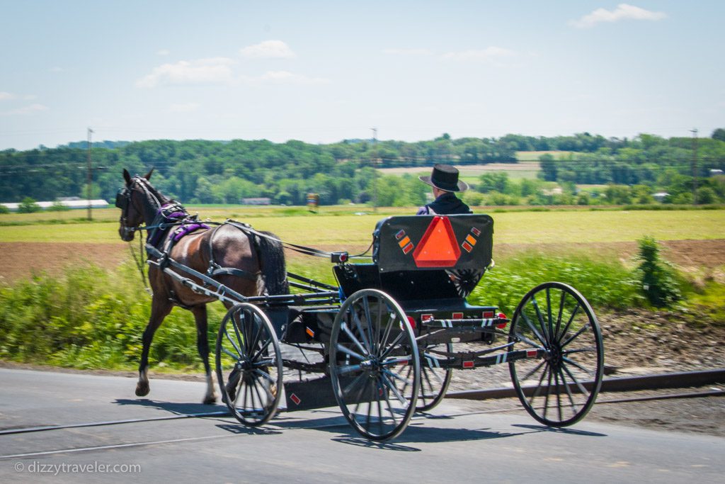 Amish Buggy