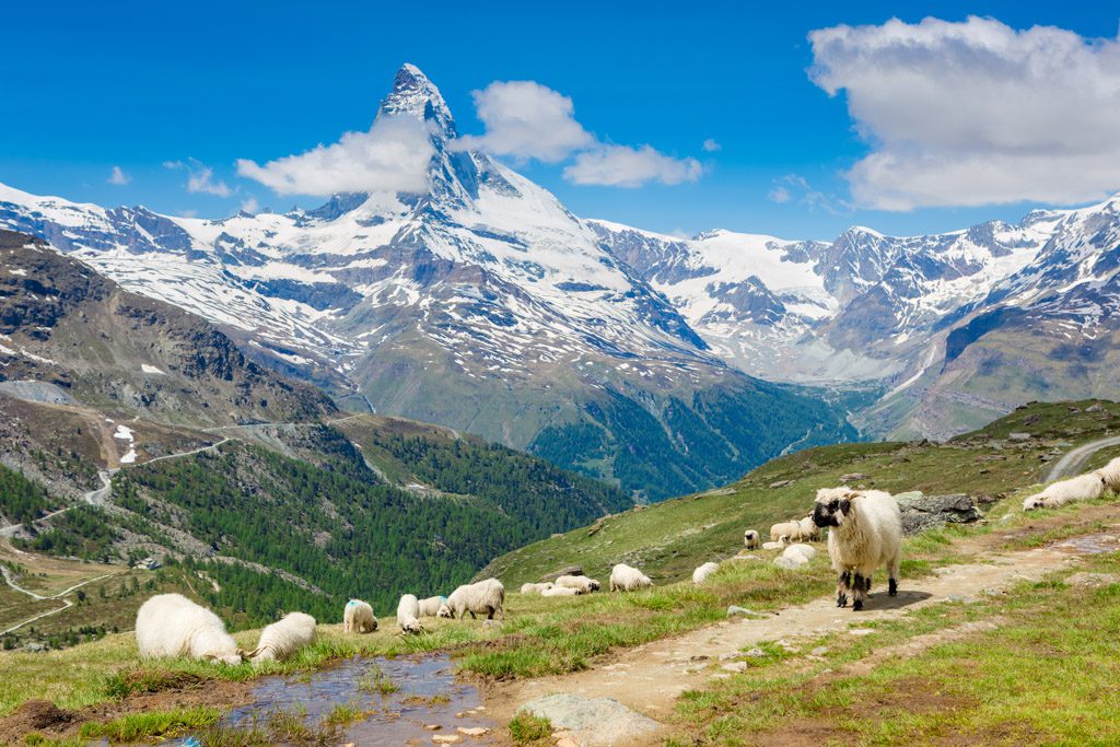 matterhorn from Riffelberg