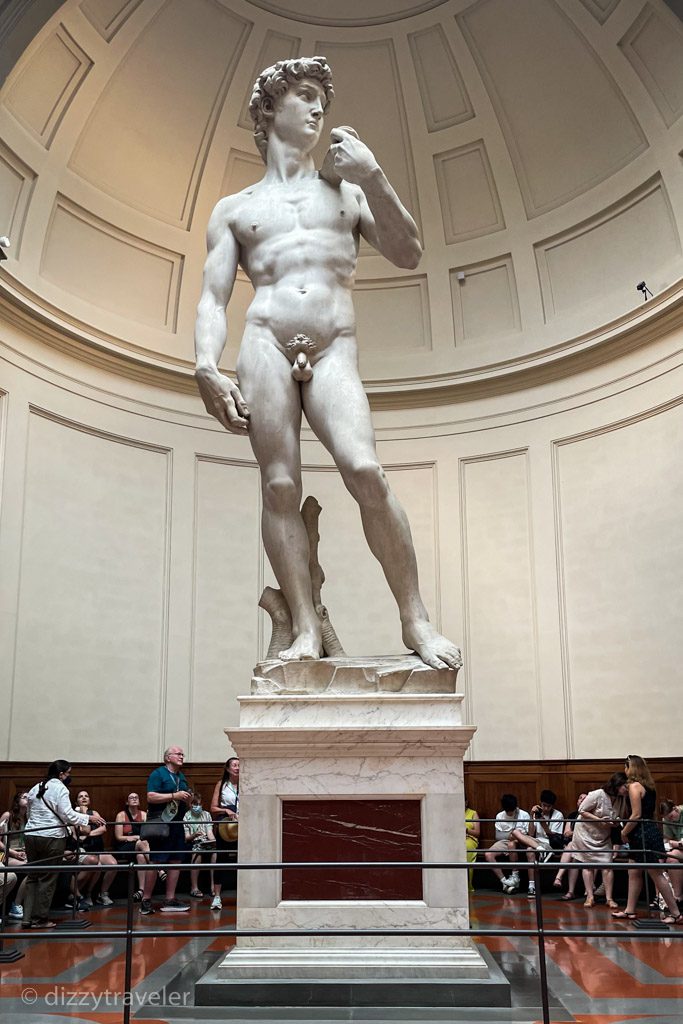 Statue of David in Florence
