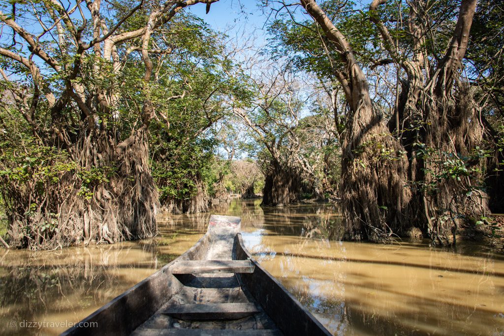 Ratargul Swamp Forest - Gowainghat