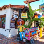 2 Days in San Diego From Los Angeles, California