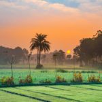 Best Things to do in Jashore (Jessore), Bangladesh