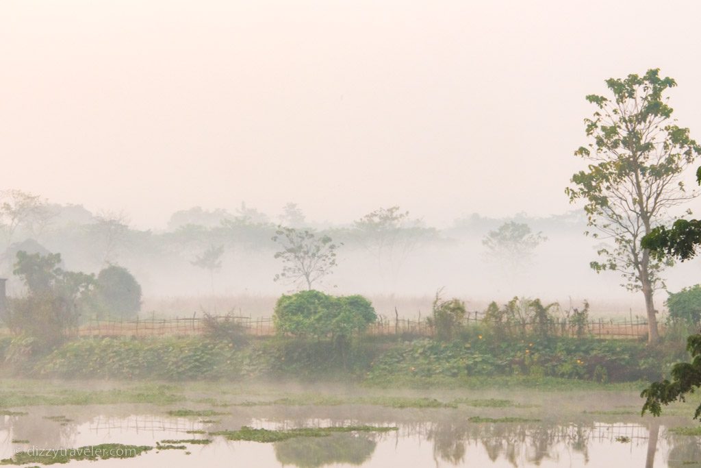 early morning fog