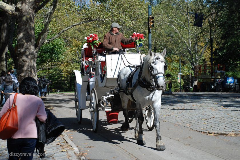 Horseback riding