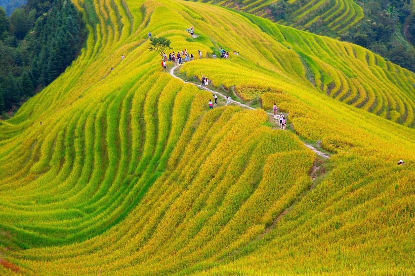 also known as Longji Rice Terraces