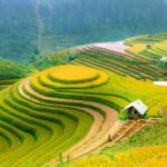 Weekend Getaway to Longji Rice Terraces from Guilin, China