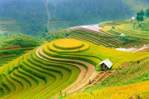 Read more about the article Weekend Getaway to Longji Rice Terraces from Guilin, China
