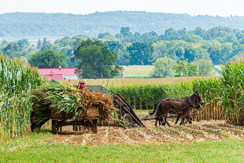 Amish country, Lancaster, PA